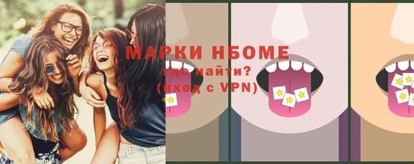 ALPHA PVP Ельня