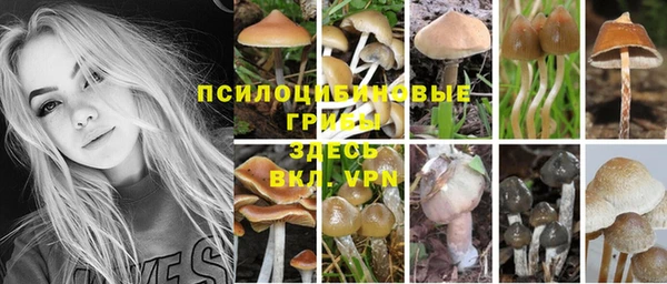 винт Елабуга