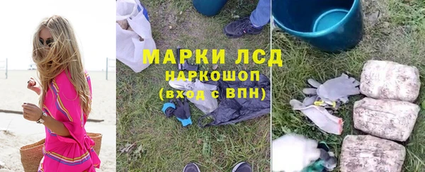 ALPHA PVP Ельня