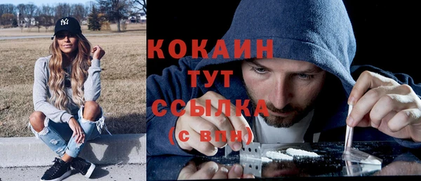 ALPHA PVP Ельня