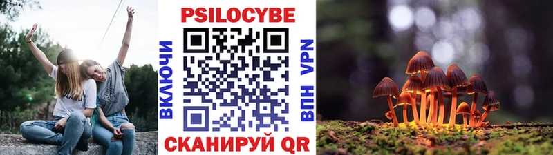 Псилоцибиновые грибы мицелий  Ростов-на-Дону 